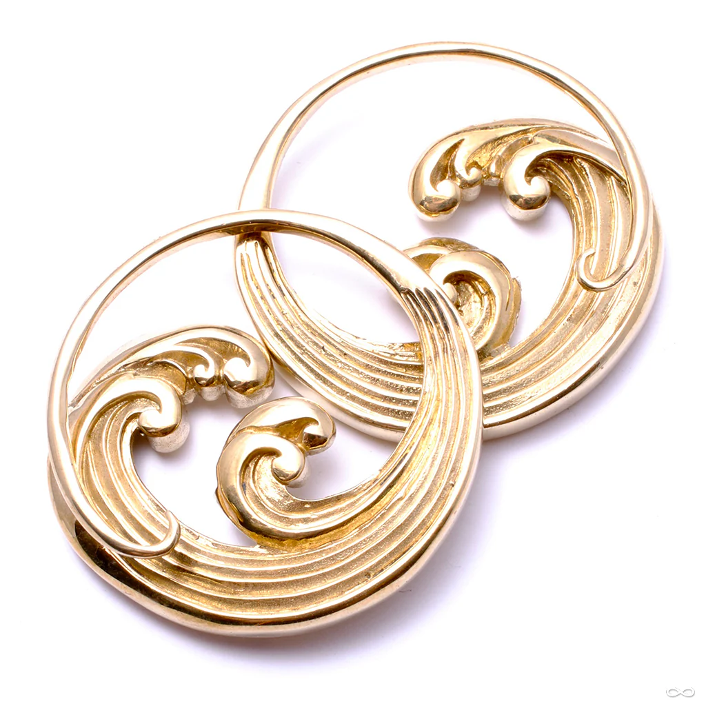 Tsunami Weights from Diablo Organics - Image 4