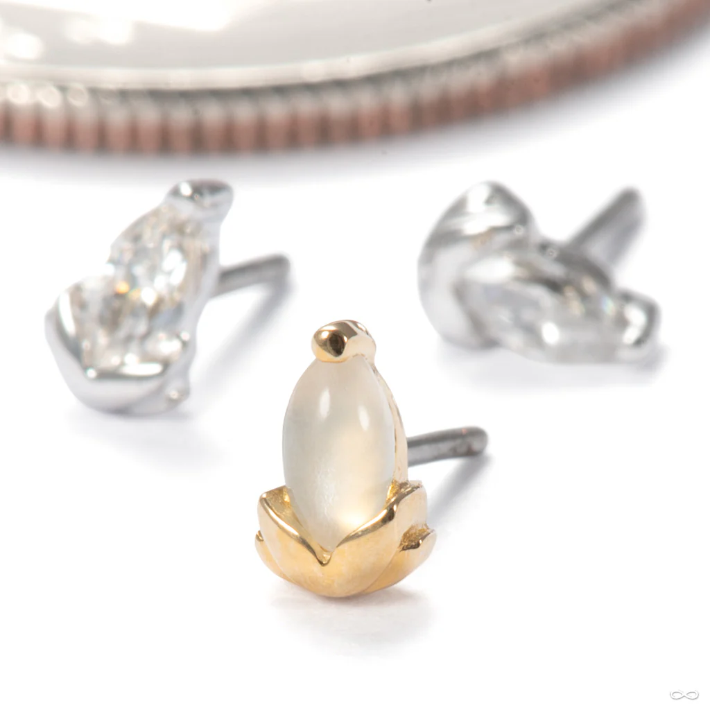 Uma Press-fit End in Gold from Junipurr Jewelry