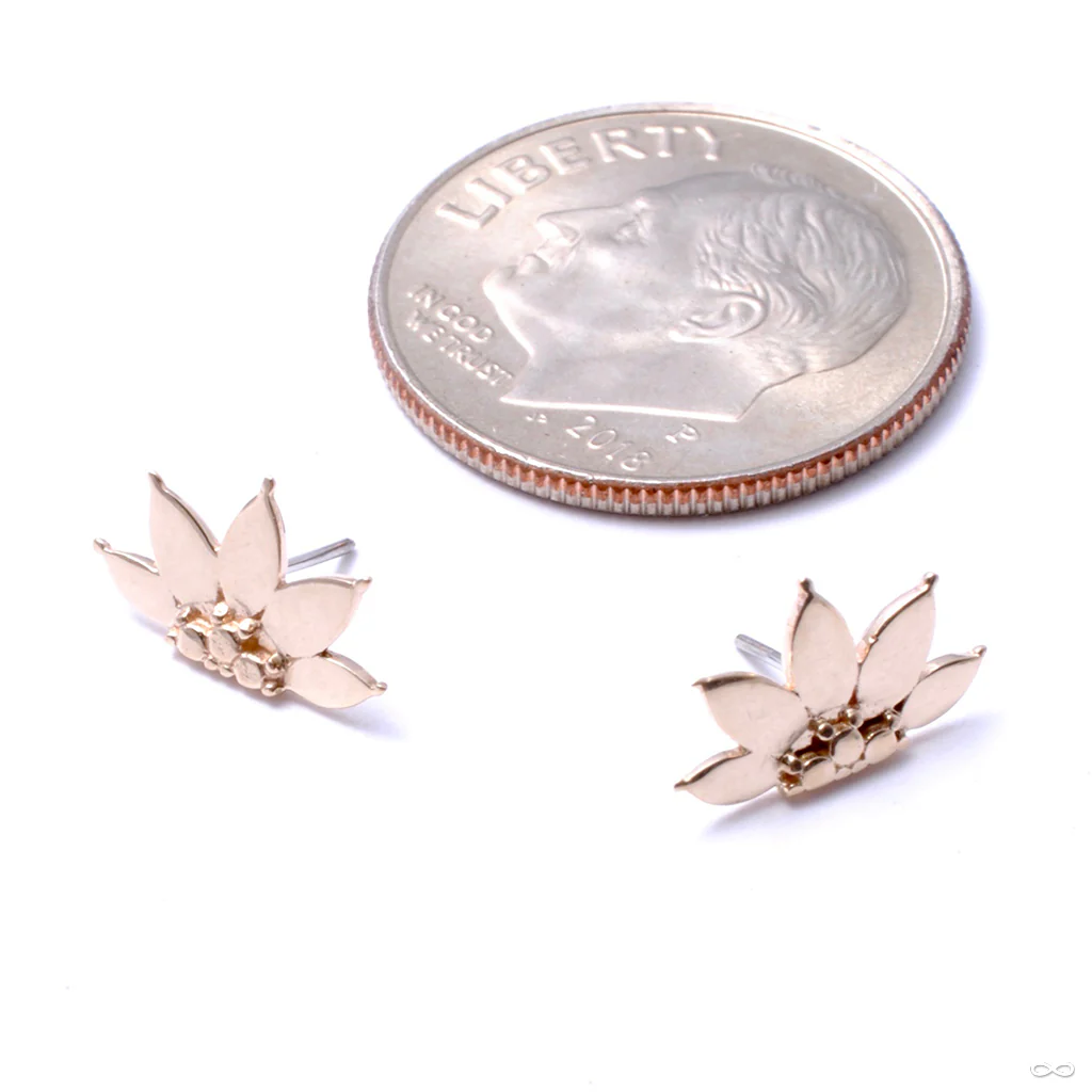 Valentina Press-fit End in Gold from Buddha Jewelry - Image 5