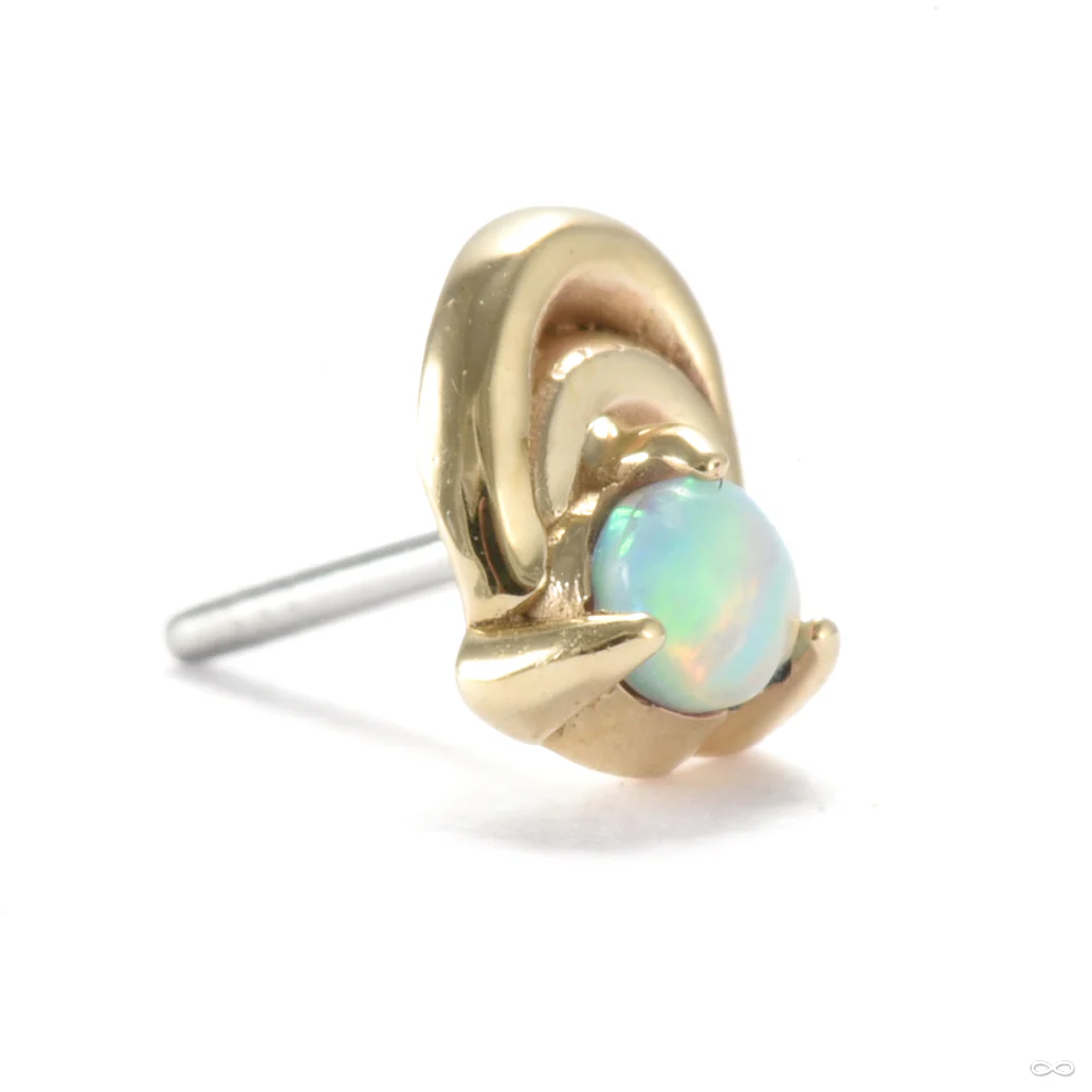Veiled Press-fit End in Gold from Sacred Symbols - Image 2