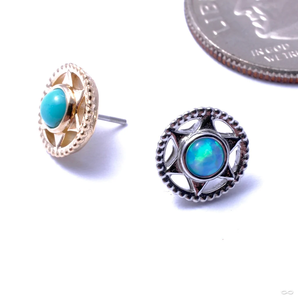 Vice Press-fit End in Gold from Anatometal
