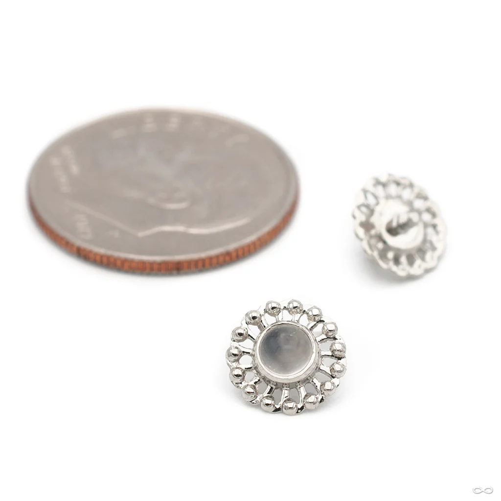 Virtue Threaded End in Gold from Anatometal - Image 10