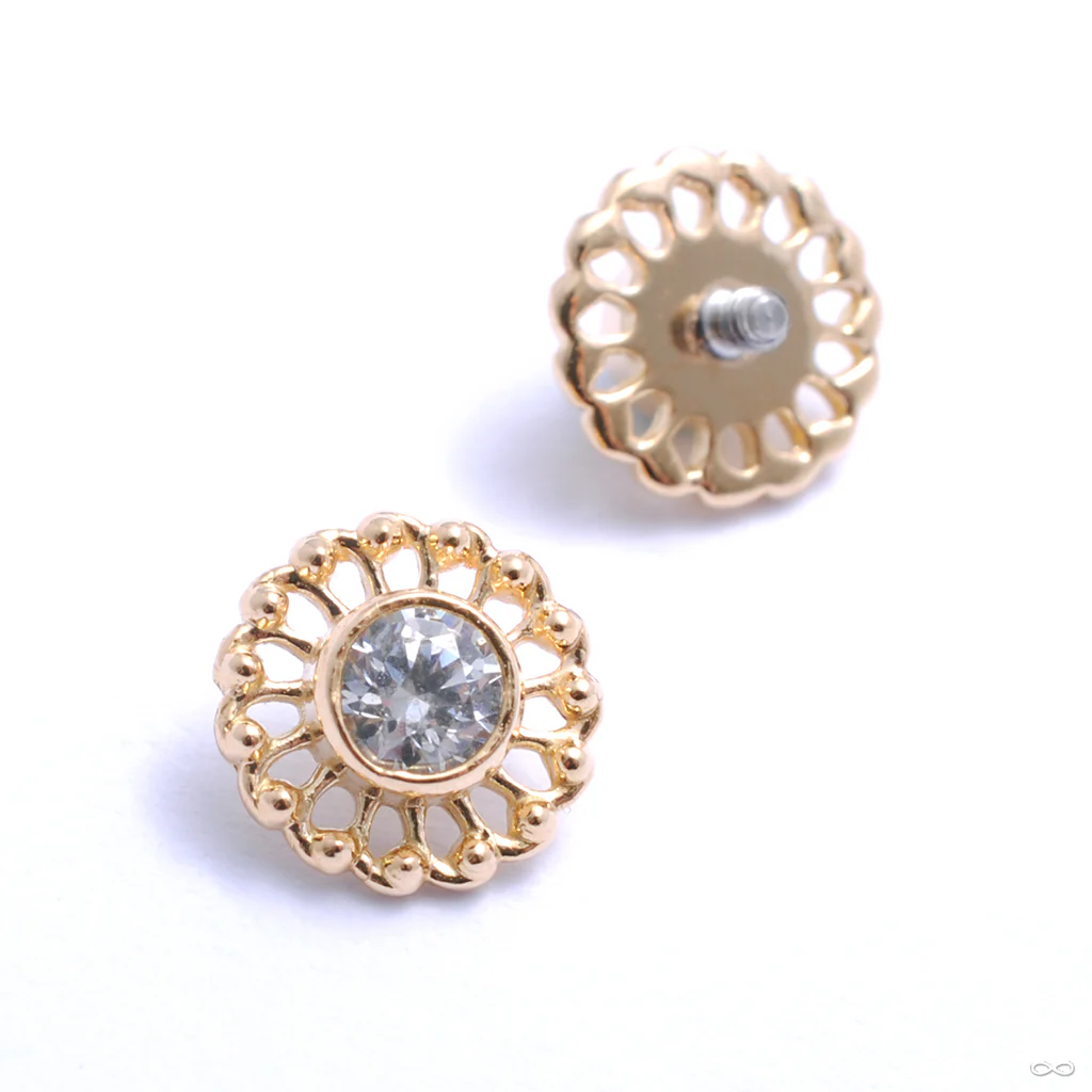 Virtue Threaded End in Gold from Anatometal - Image 4
