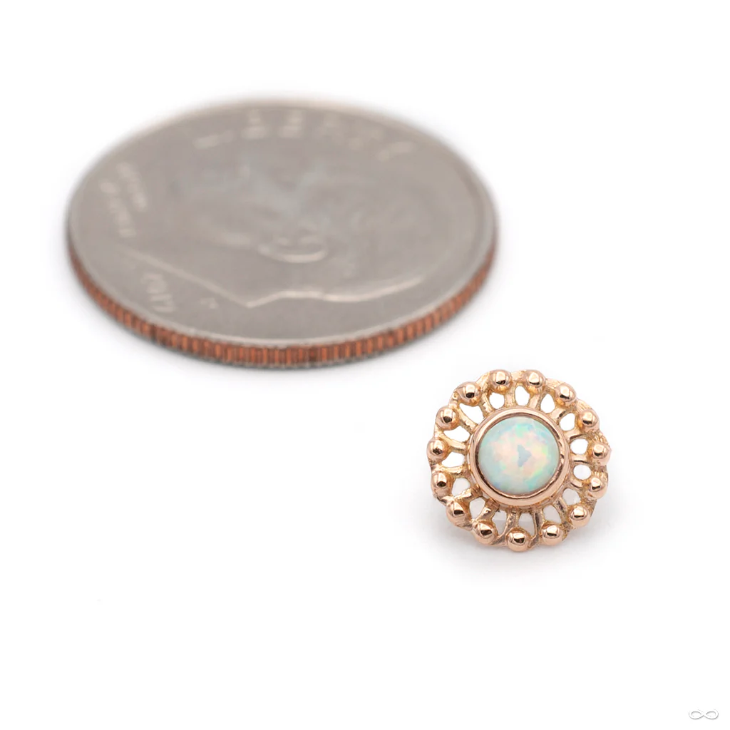 Virtue Threaded End in Gold from Anatometal - Image 8