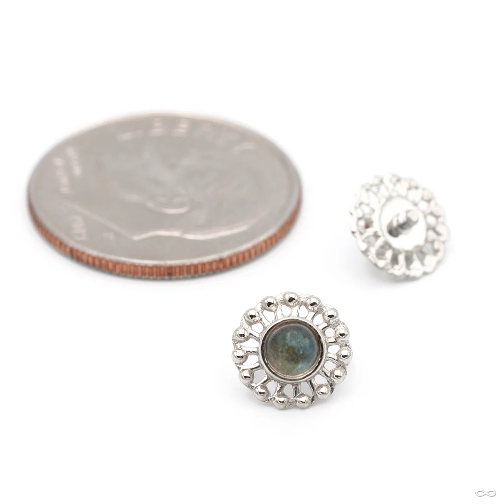 Virtue Threaded End in Gold from Anatometal - Image 9
