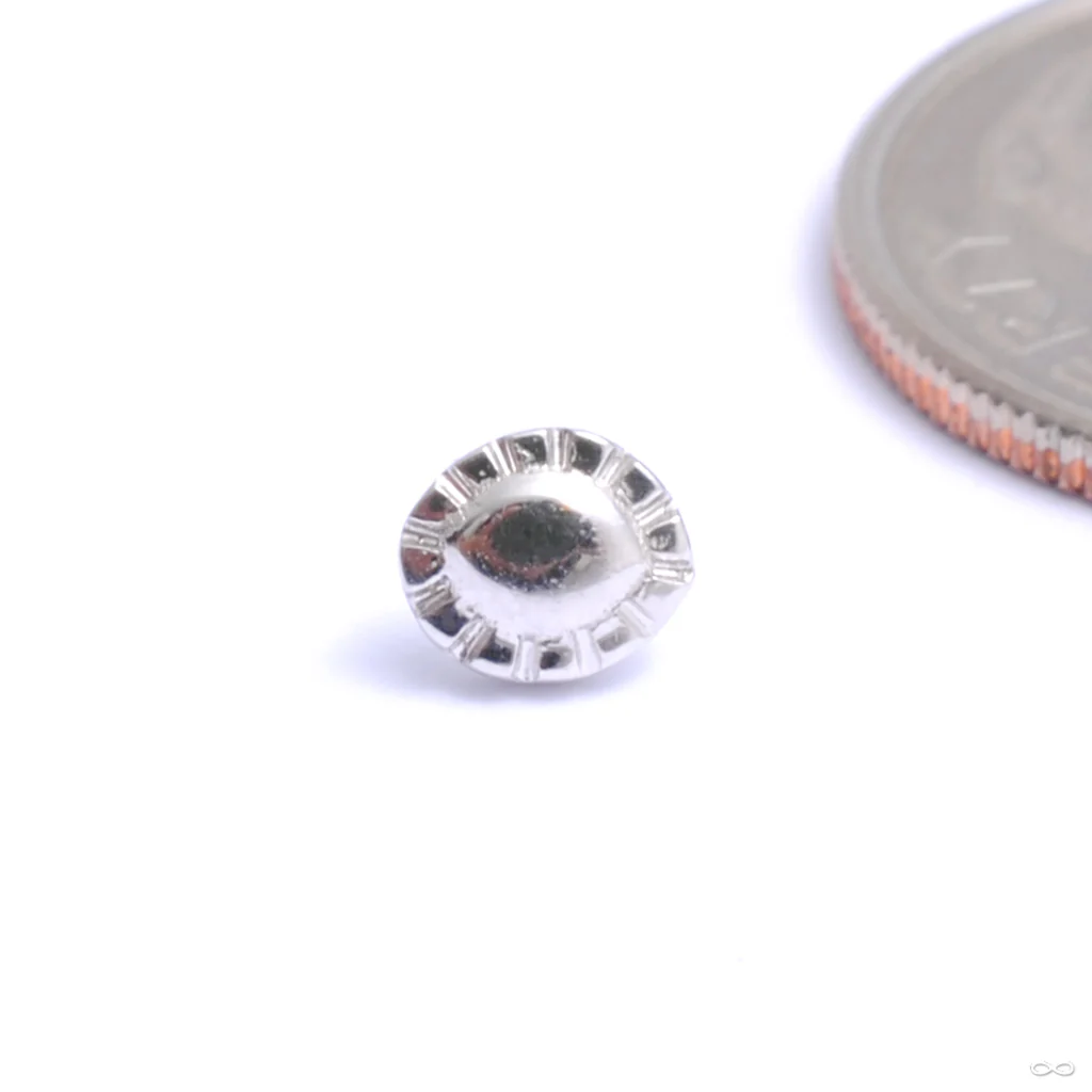 Zeta 02 Press-fit End in Gold from Tether Jewelry