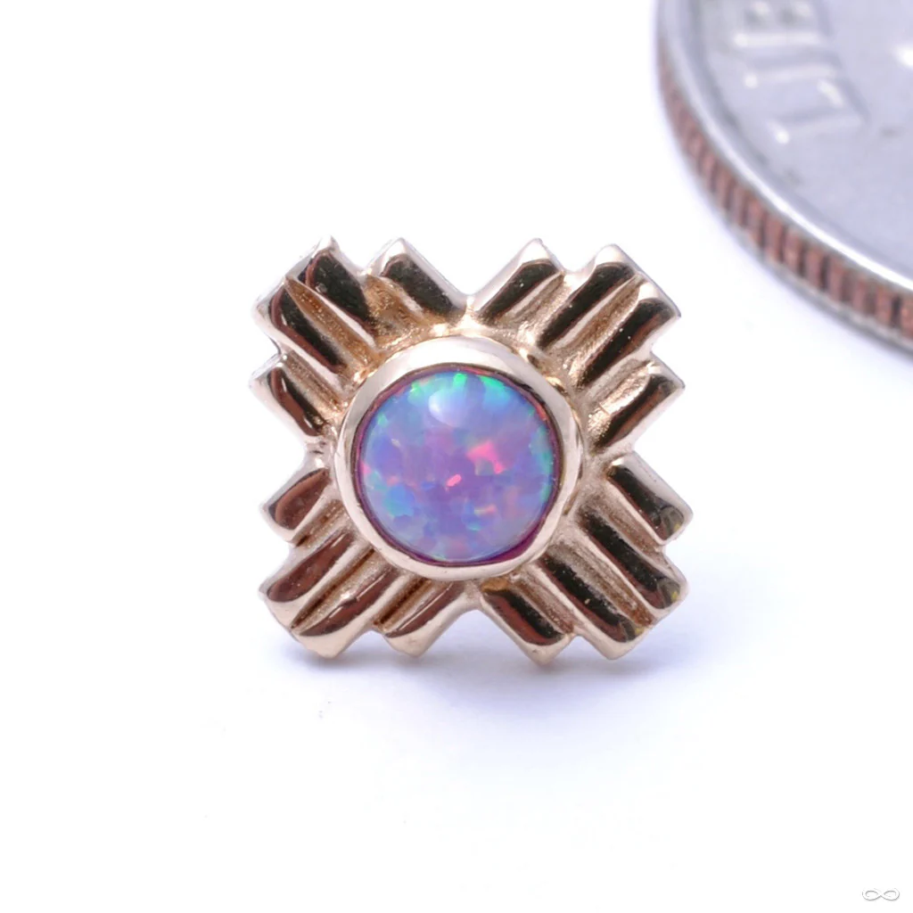 Zia Press-fit End in Gold from LeRoi - Image 6